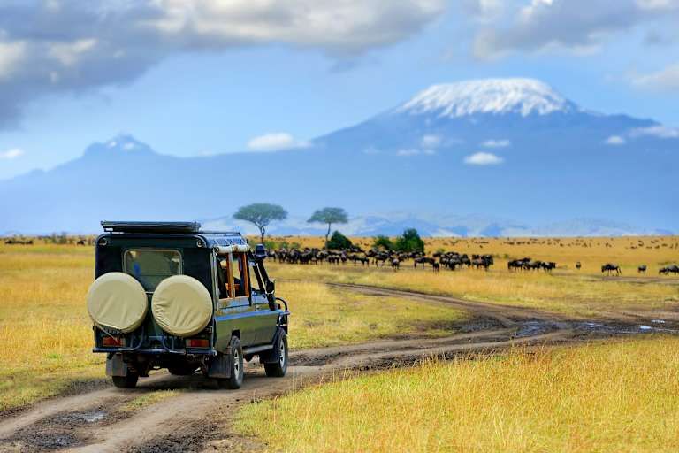 Le meilleur du Kenya en safari - 3* pas cher photo 15