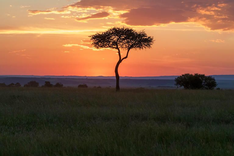 Circuit privatif : Safari authentique au Kenya - 3* pas cher photo 11
