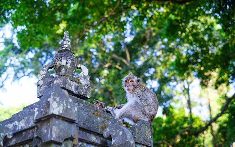 Combiné L'Essentiel de Bali 4* pas cher photo 7