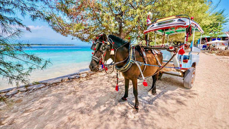 Echappées belles de Bali à Gili - 4* pas cher photo 15