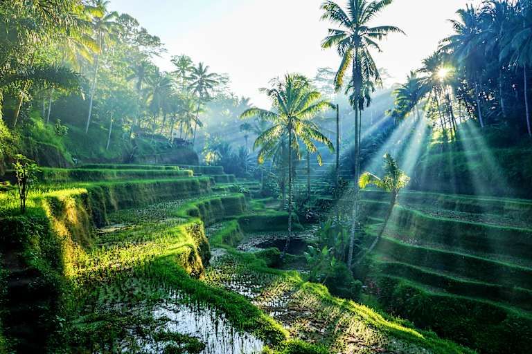 Circuit Les Incontournables de Bali, Gili Air et Lombok 3*-4* pas cher photo 10