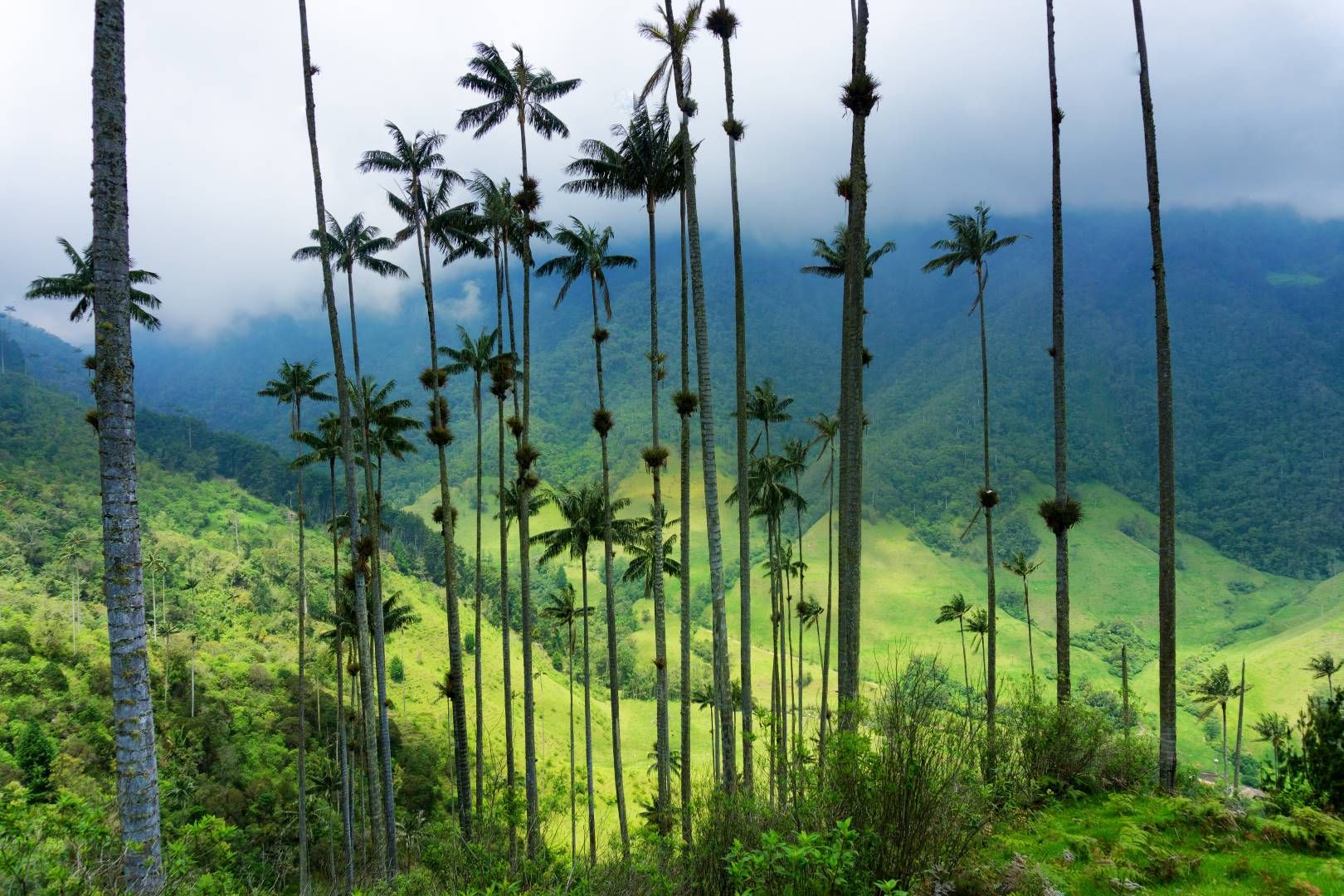Merveilles de la Colombie - 10J/8N - Limité à 16 pers. - 2026 pas cher photo 2