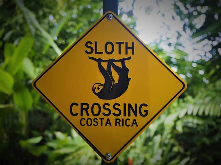 Autotour à la Découverte du Costa Rica 3*-4*-5* pas cher photo 5