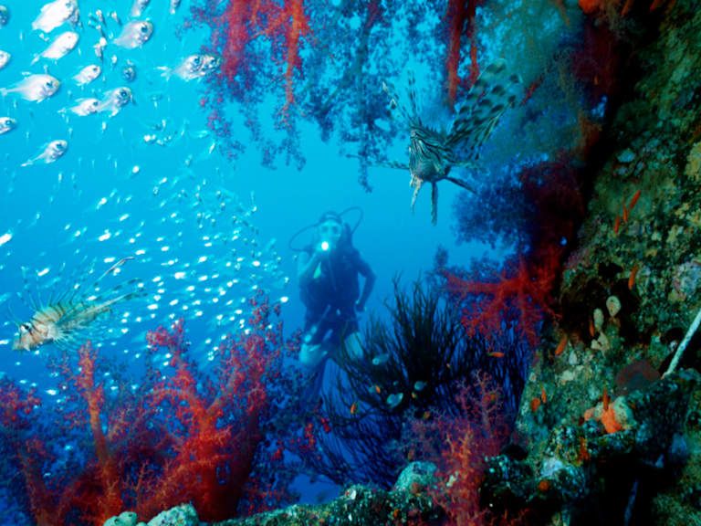 Circuit Privatif Histoire et Nature avec Mer Rouge - 4* pas cher photo 8