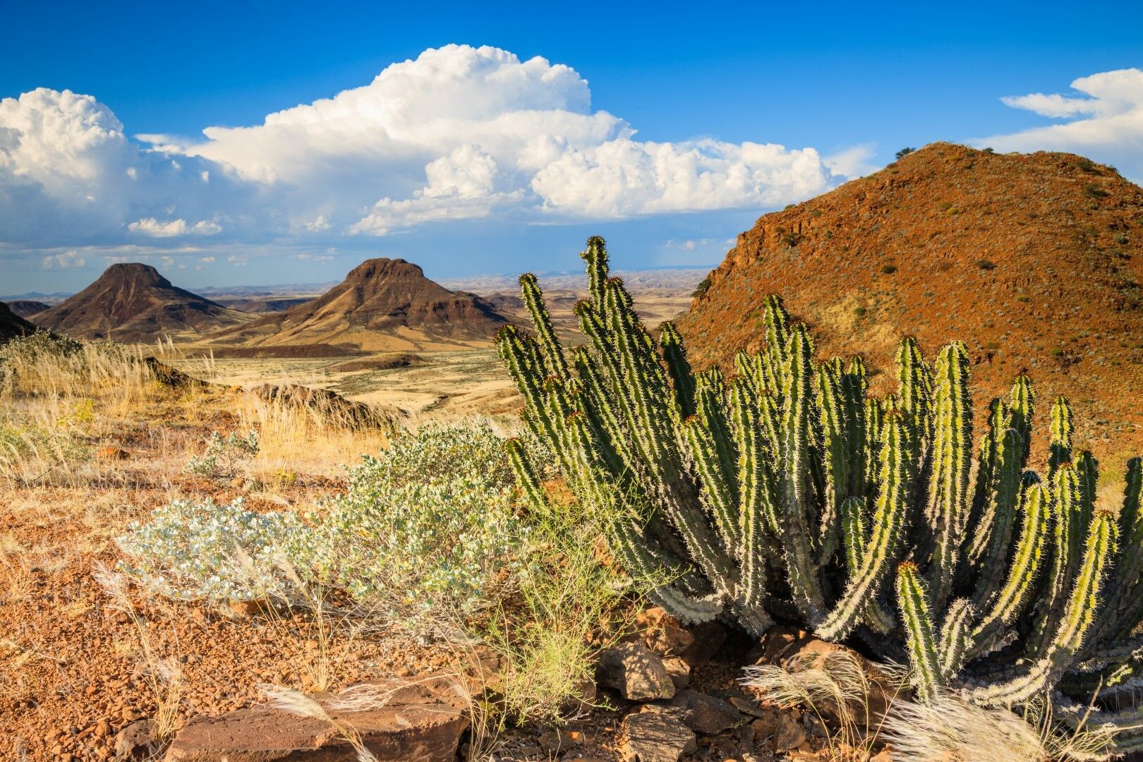 Autotour Routes Australes 17J/14N pas cher photo 3