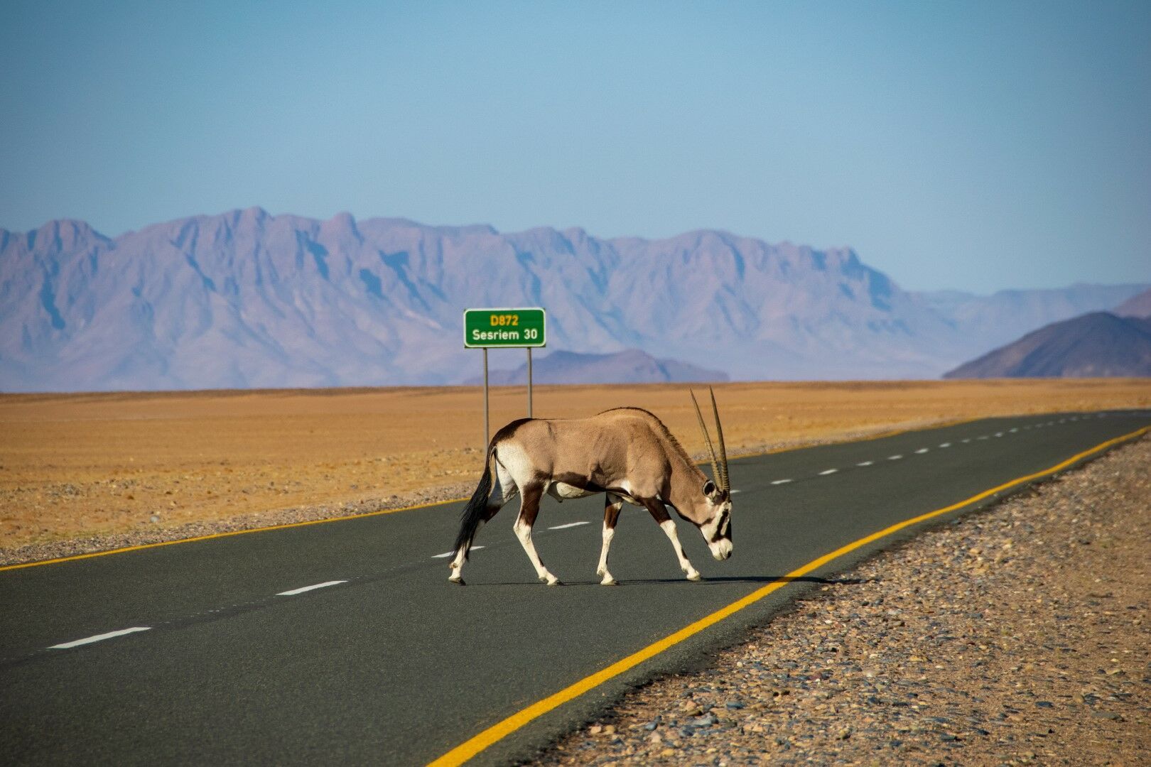 Autotour Routes Australes 17J/14N pas cher photo 6