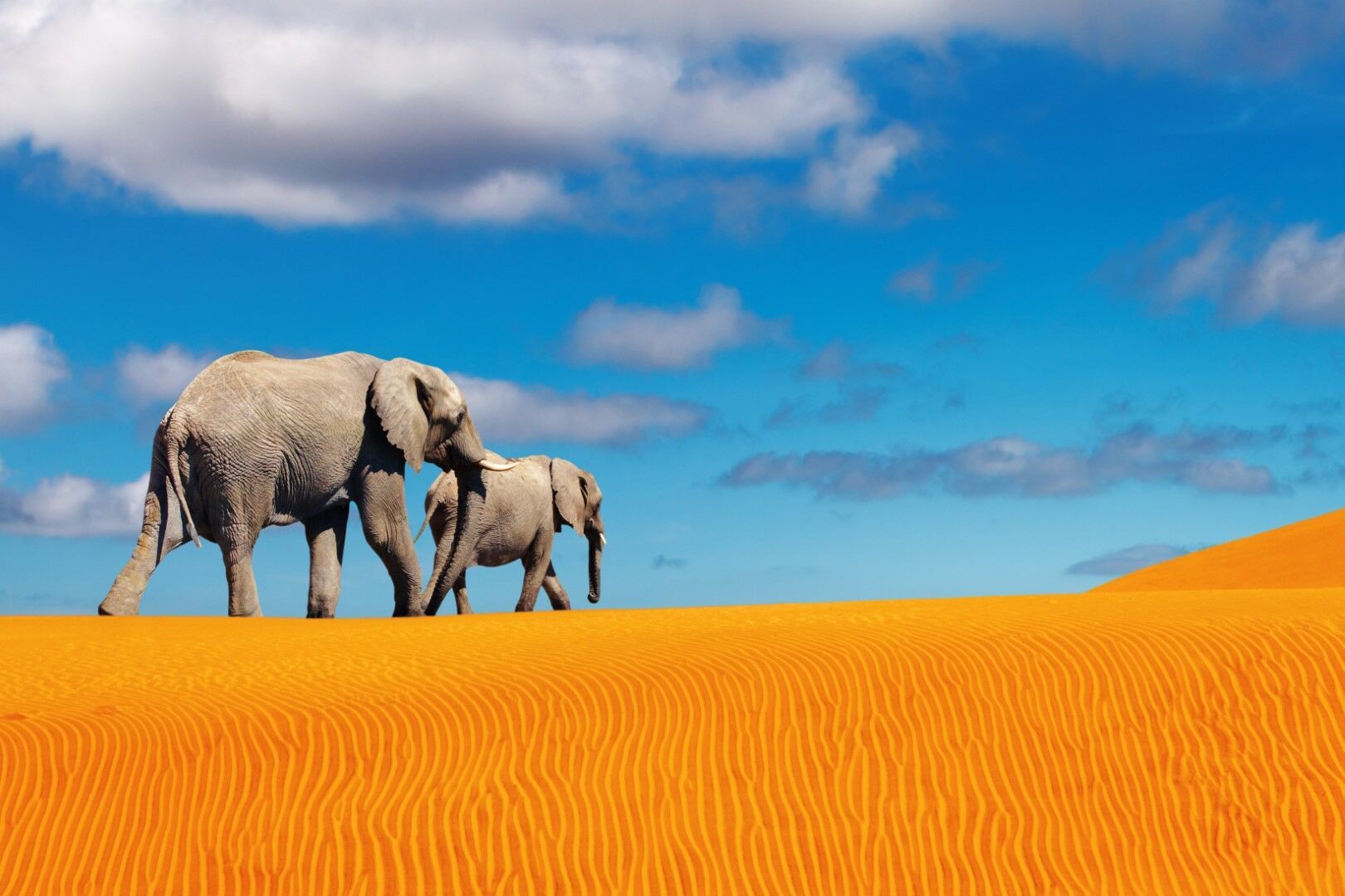 Autotour Routes Australes 17J/14N pas cher photo 7