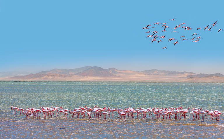 Circuit La Namibie Sous Toutes ses Facettes 3* pas cher photo 13