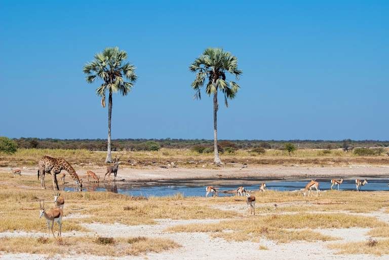 Circuit La Namibie Sous Toutes ses Facettes 3* pas cher photo 18