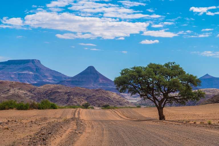 Circuit La Namibie Sous Toutes ses Facettes 3* pas cher photo 19