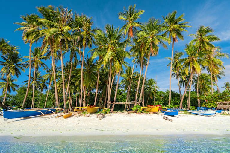 Dans l'archipel des Visayas en liberté pas cher photo 18