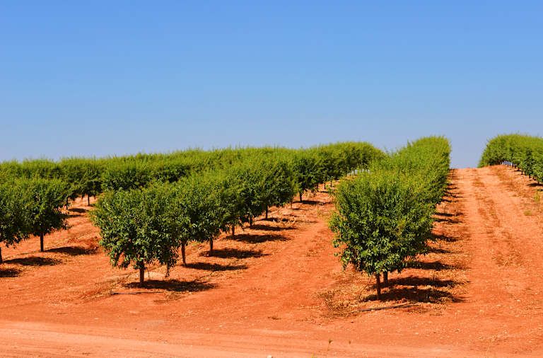 Autotour Les Secrets Cachés de l'Algarve et de l'Alentejo 3*-4* pas cher photo 4
