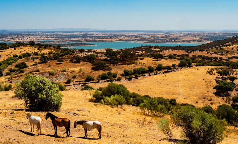 Autotour Les Secrets Cachés de l'Algarve et de l'Alentejo 3*-4* pas cher photo 5