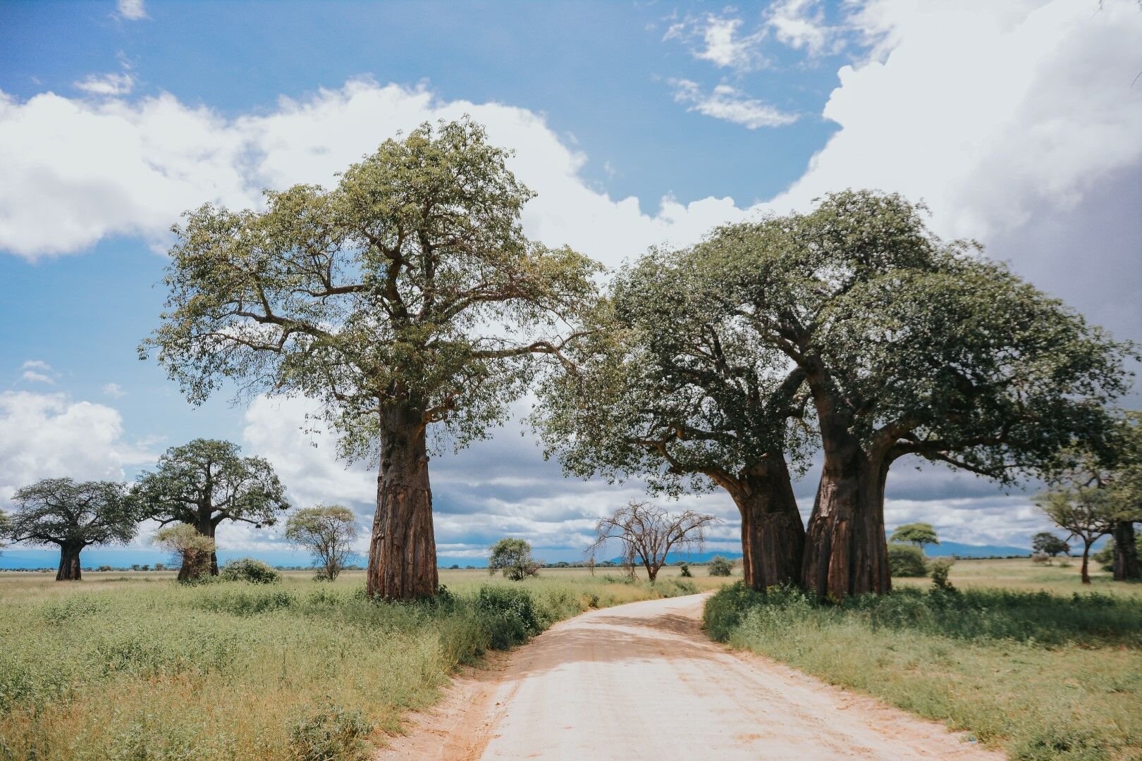 L'Essentiel de la Tanzanie & Zanzibar - 10J/7N - 2026 pas cher photo 2