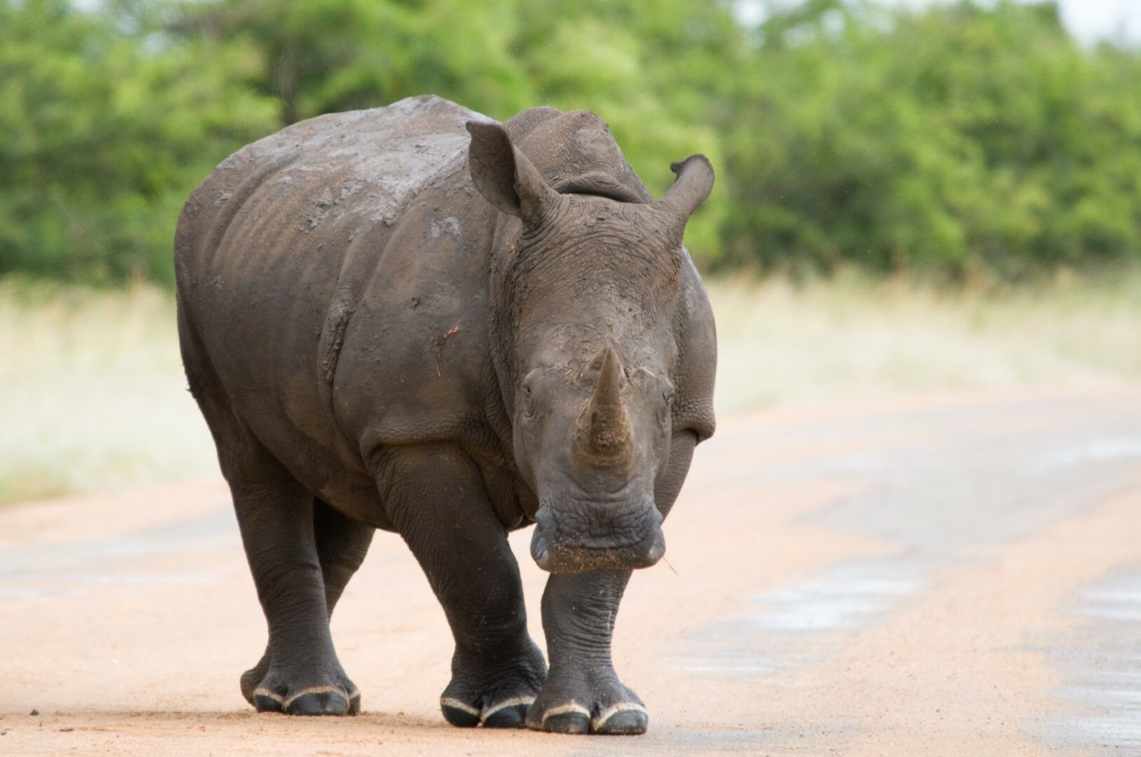 L'Essentiel de la Tanzanie & Zanzibar - 10J/7N - 2026 pas cher photo 5