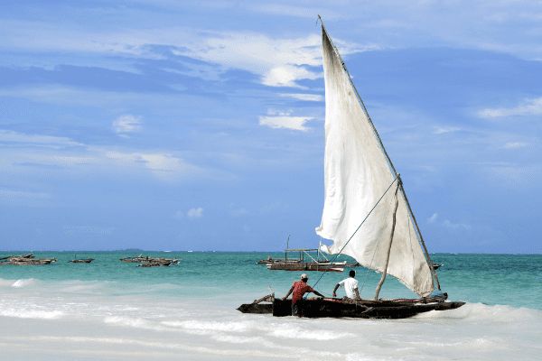 Circuit De la Savane Africaine à l'île aux Epices, plages de Matemwe en Privatif 2*Nouveauté 2026 2* pas cher photo 28