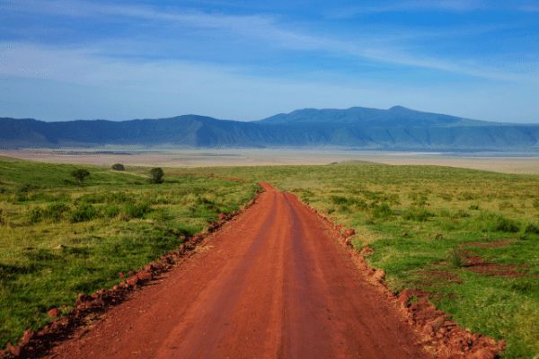 Circuit De la Savane Africaine à l'île aux Epices, plages de Matemwe en Privatif pas cher photo 7