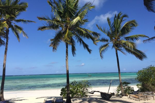 Circuit De la Savane Africaine à l'île aux Epices, plages de Matemwe en Privatif pas cher photo 27