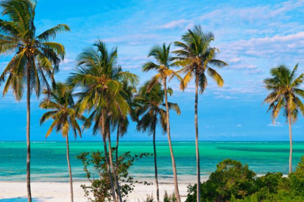 Circuit Des Lodges de Tanzanie à l'Archipel de Zanzibar, plage de Matemwe 2*Nouveauté 2026 2* pas cher photo 30