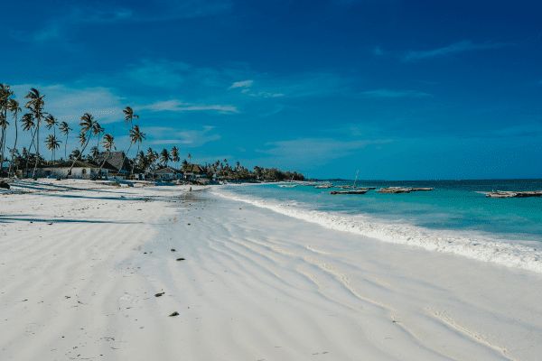 Circuit Des Lodges de Tanzanie à l'Archipel de Zanzibar, plage de Matemwe pas cher photo 28