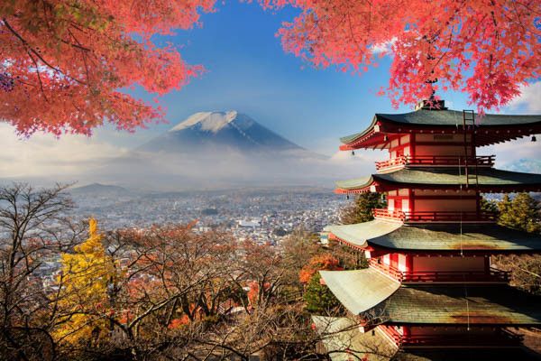 Circuit Voyage en liberté, Japon entre métropoles et culture 3* pas cher photo 8