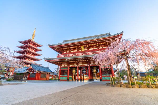 Circuit Voyage en liberté, Japon entre métropoles et culture 3* pas cher photo 10