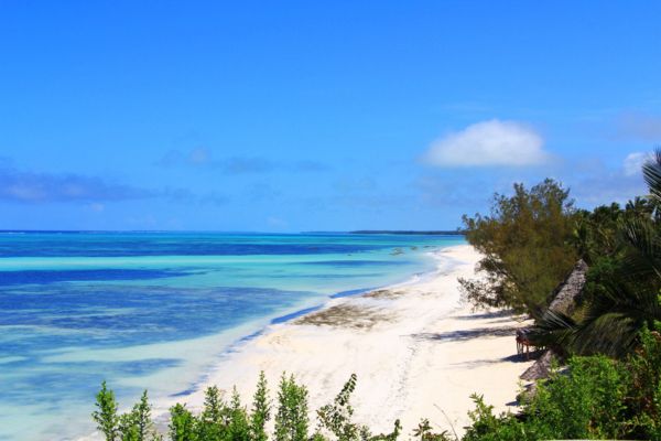 Circuit De Zanzibar à Selous, Culture, Safari et Plage 4* pas cher photo 8