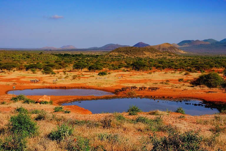 Des terres rouges de Tsavo aux eaux turquoises de Mombasa - 4* pas cher photo 8
