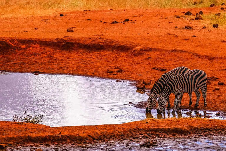 Des terres rouges de Tsavo aux eaux turquoises de Mombasa - 4* pas cher photo 9