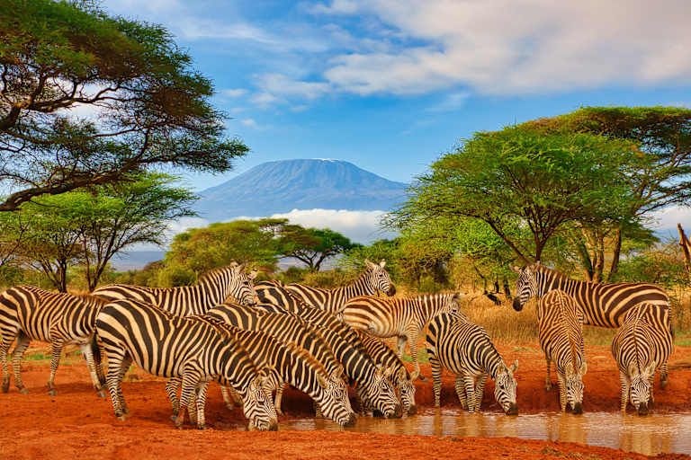 Des terres rouges de Tsavo aux eaux turquoises de Mombasa - 4* pas cher photo 14