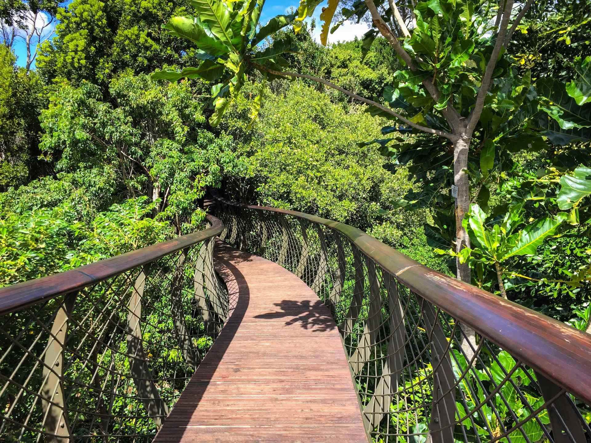Trésors d'Afrique du Sud, Chutes Victoria & Parc de Chobe 13J/10N - 2026 pas cher photo 3