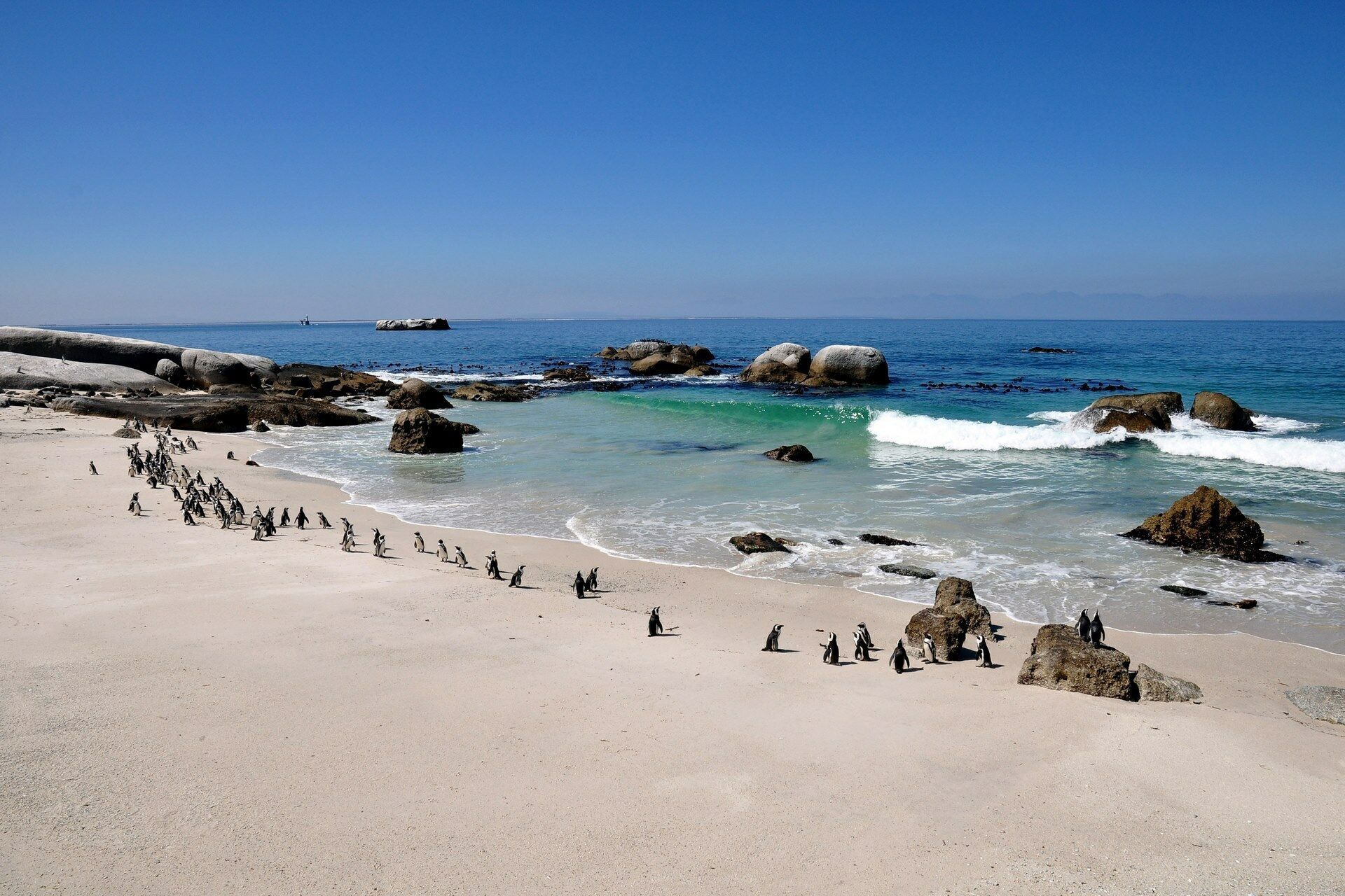 Trésors d'Afrique du Sud, Chutes Victoria & Parc de Chobe 13J/10N - 2026 pas cher photo 5