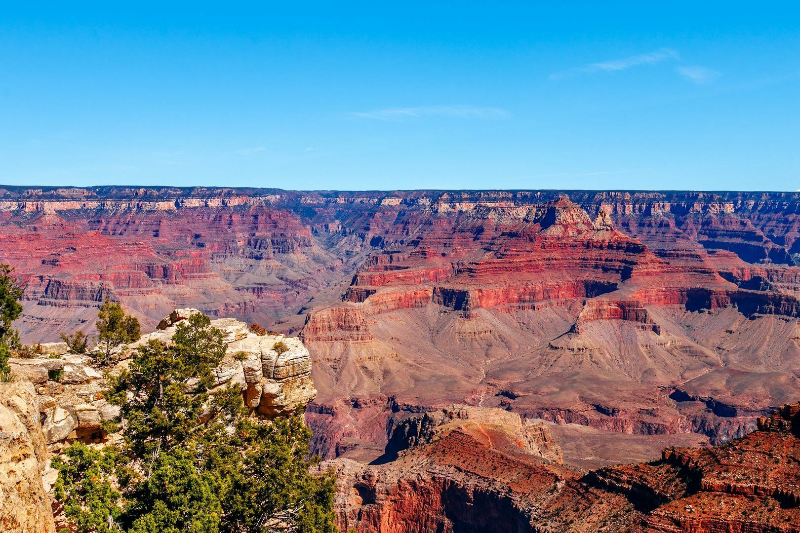 American Ouest - 10J/8N - 2026/27 pas cher photo 4