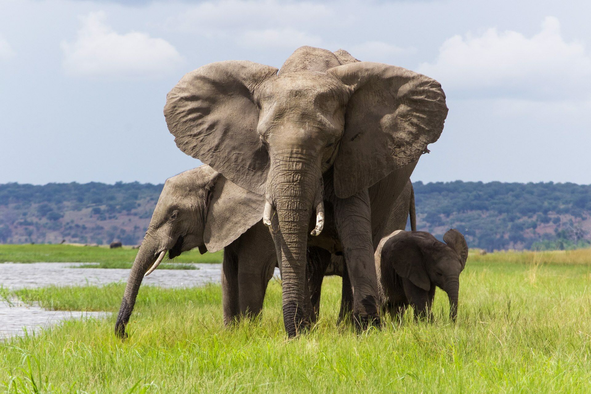 Trésors d'Afrique Australe - Sens inversé - 16J/13N - 2026 pas cher photo 4