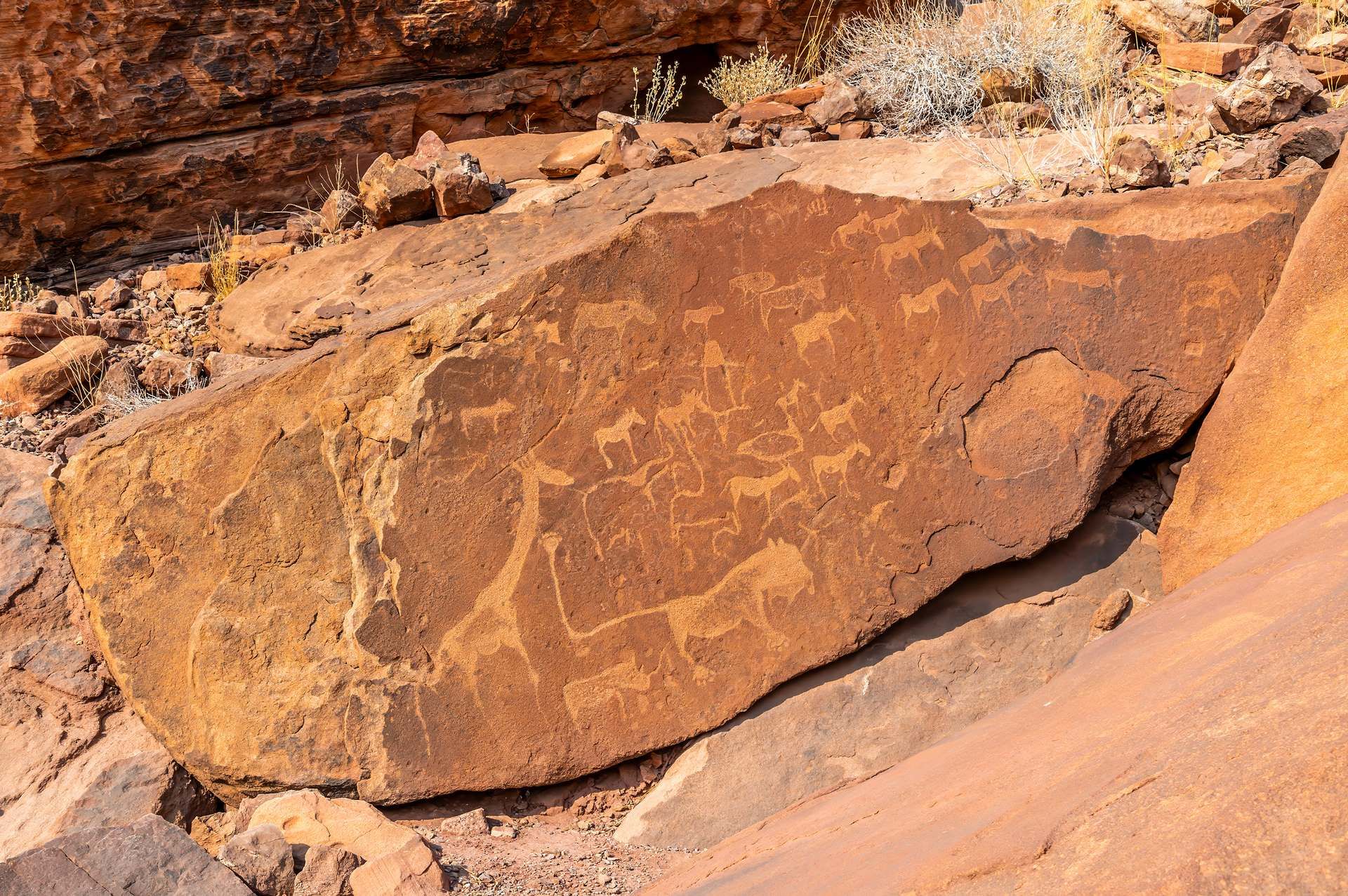 Trésors d'Afrique Australe - Sens inversé - 16J/13N - 2026 pas cher photo 6