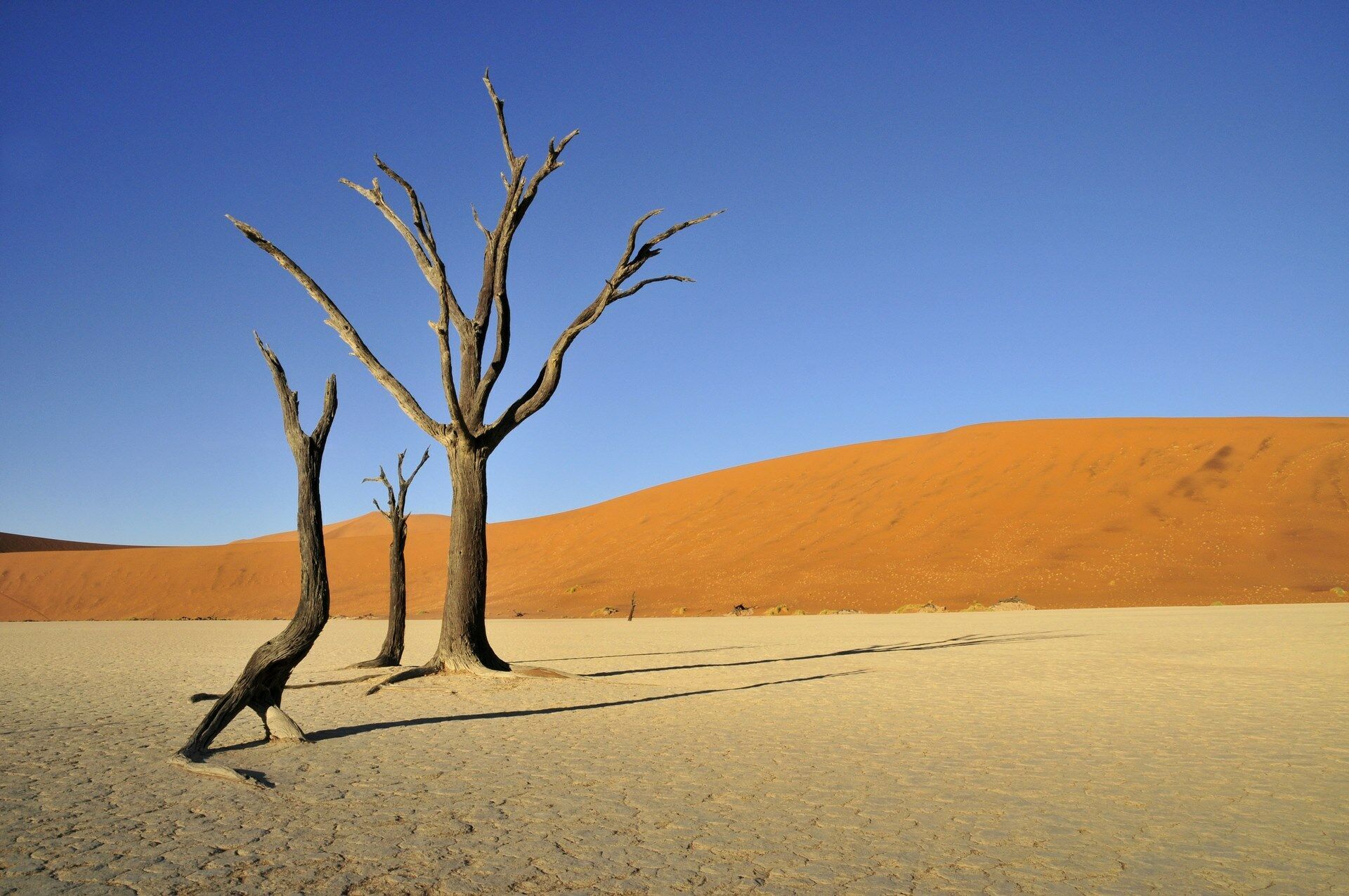 Trésors d'Afrique Australe - Sens inversé - 16J/13N - 2026 pas cher photo 8