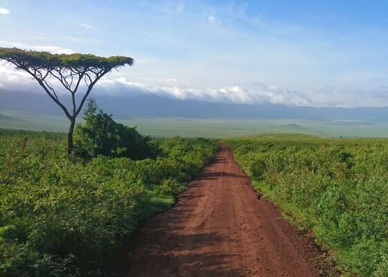 Circuit Des Ocres de Tanzanie à Zanzibar pas cher photo 13