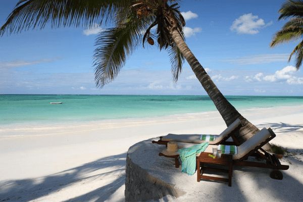 Circuit Tanzanie, Entre Faune et Sable de Matemwe en Privatif pas cher