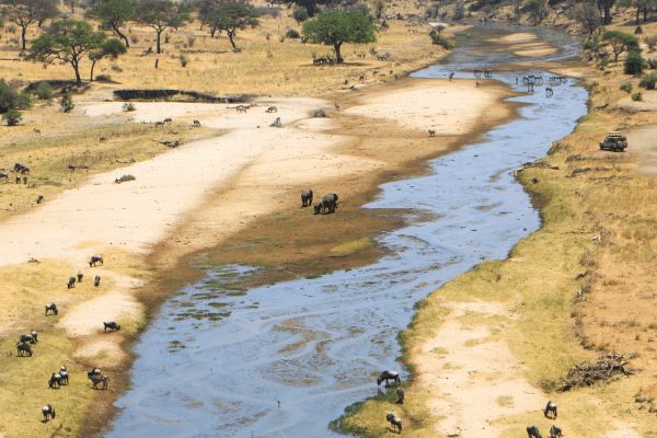 Circuit Tanzanie, Entre Faune et Sable de Matemwe en Privatif pas cher photo 7