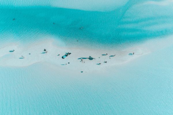 Circuit Tanzanie, Entre Faune et Sable de Matemwe en Privatif pas cher photo 22