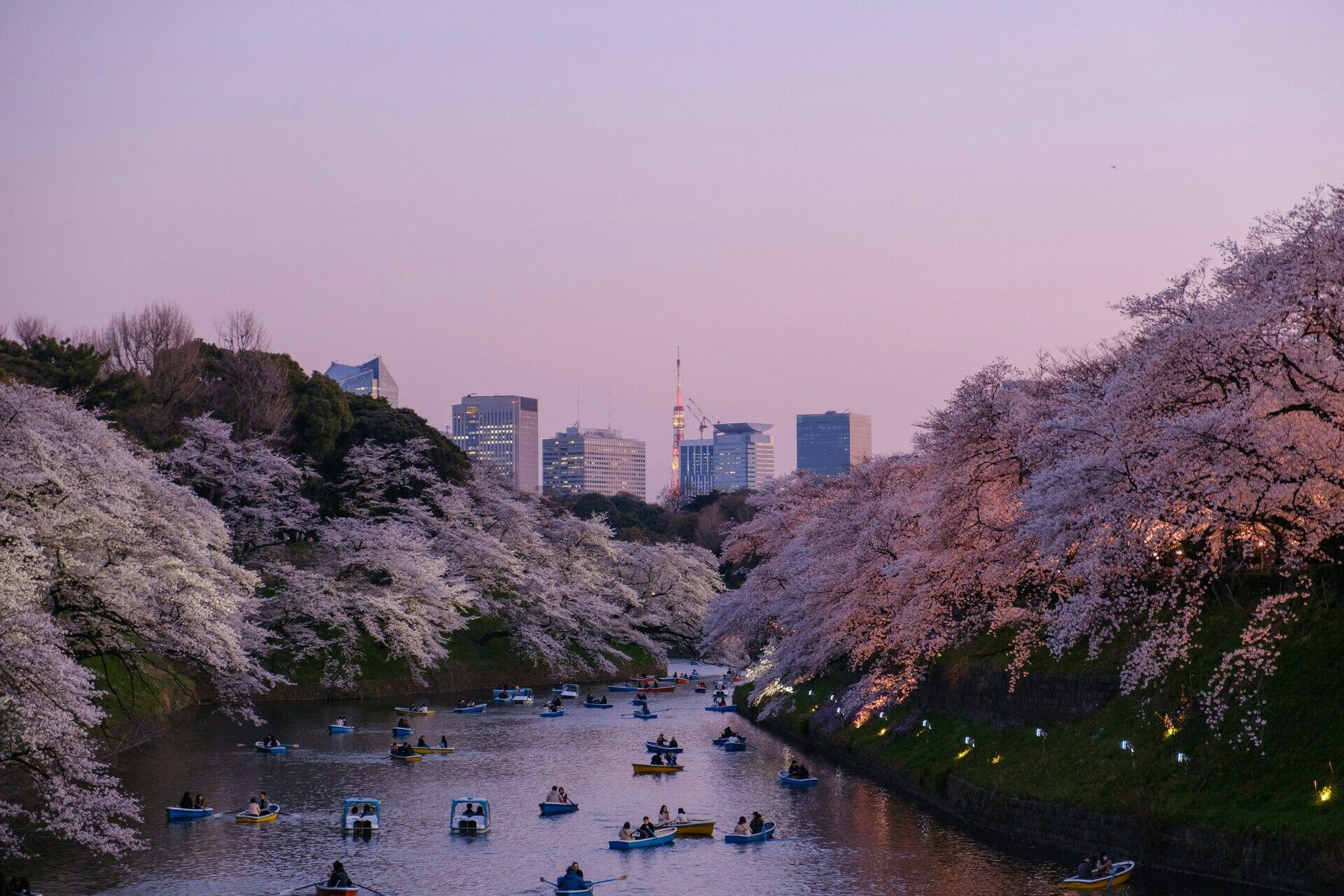 Combiné Japon et Corée du Sud 3* ou 4* pas cher photo 16