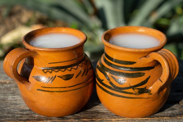 Circuit Des Légendes Aztèques à la Mer des Caraïbes pas cher photo 29