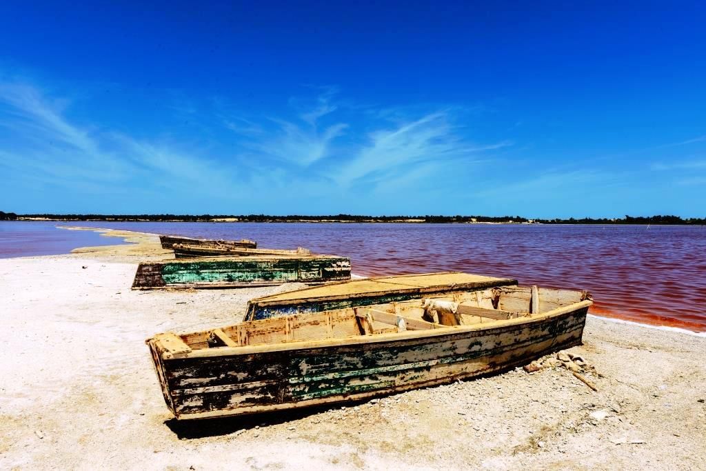 Découverte du Sénégal - 9J/7N - Départ les samedis - 2026 pas cher photo 9