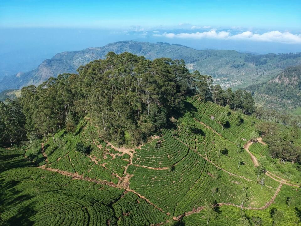 Circuit Privatif Beautés Cachées du Sri Lanka pas cher photo 5