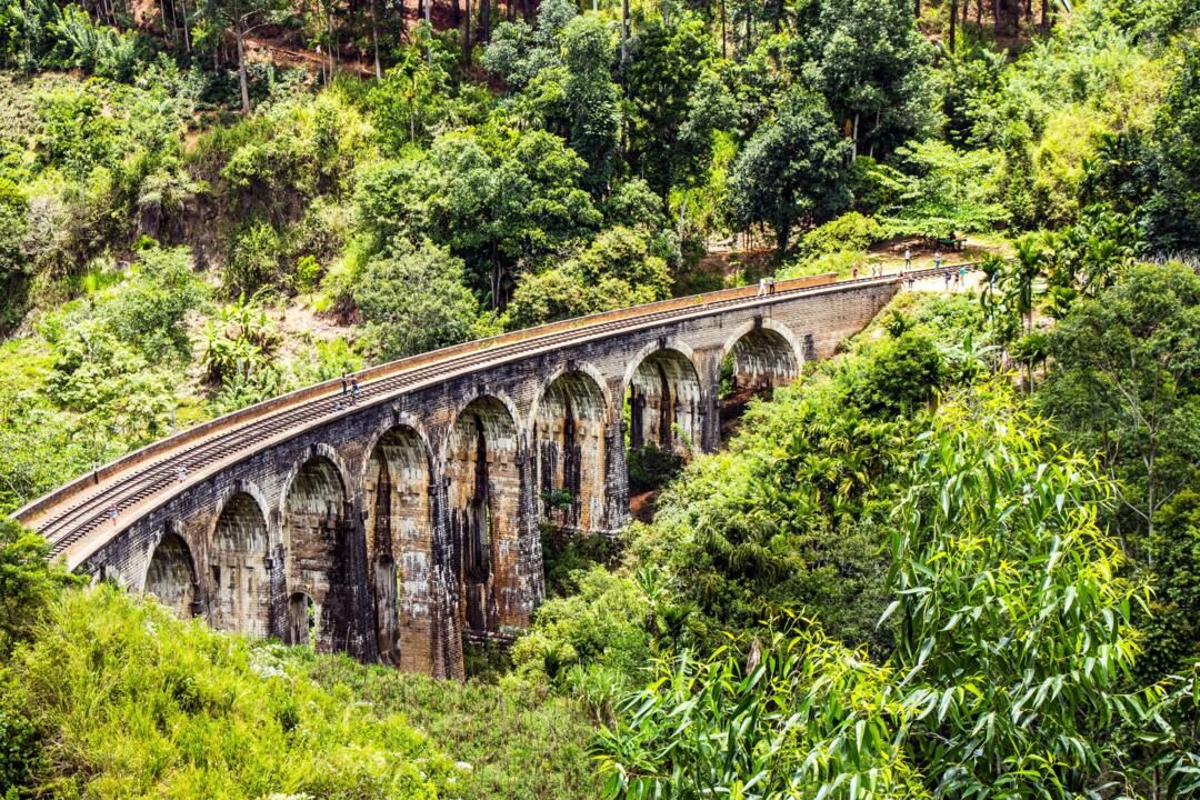 Circuit Privatif Beautés Cachées du Sri Lanka pas cher photo 7