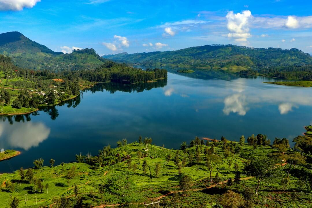 Circuit Privatif Beautés Cachées du Sri Lanka pas cher photo 14