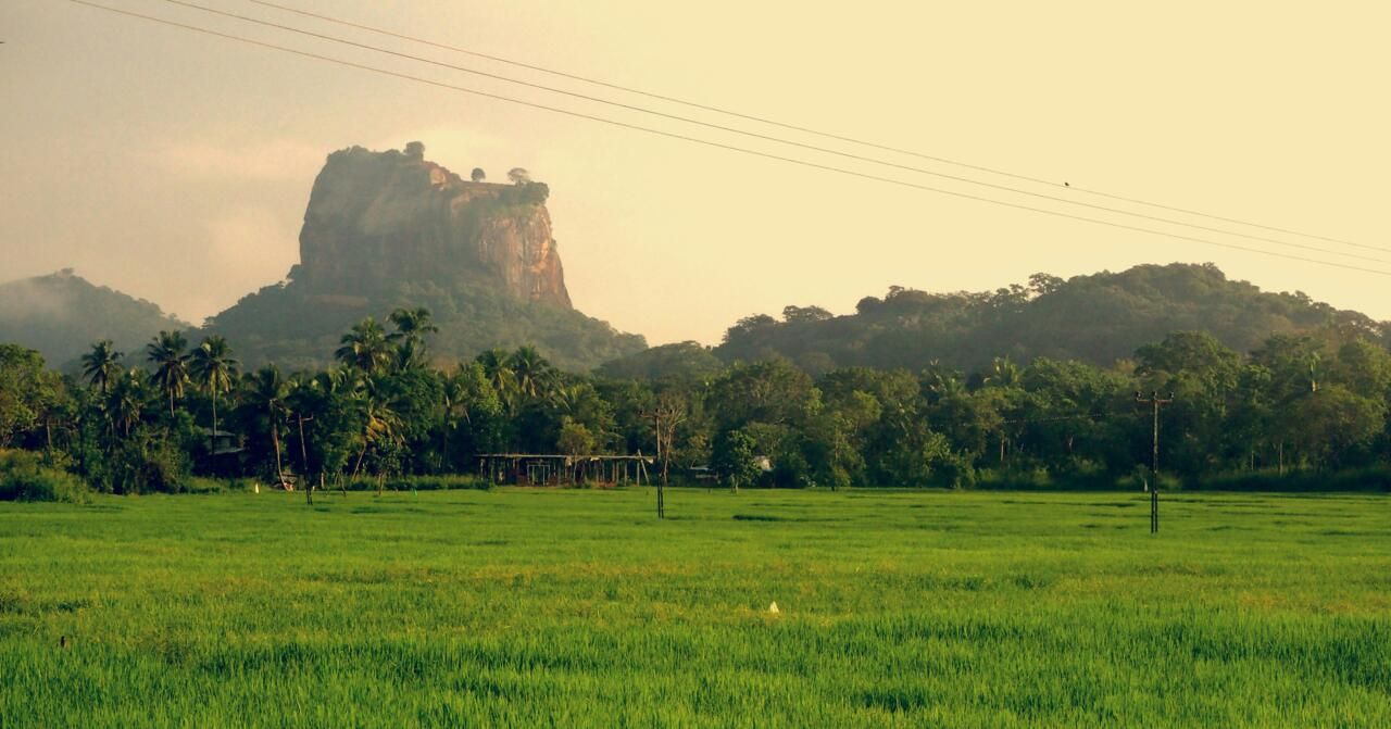 Circuit Privatif Beautés Cachées du Sri Lanka pas cher photo 20