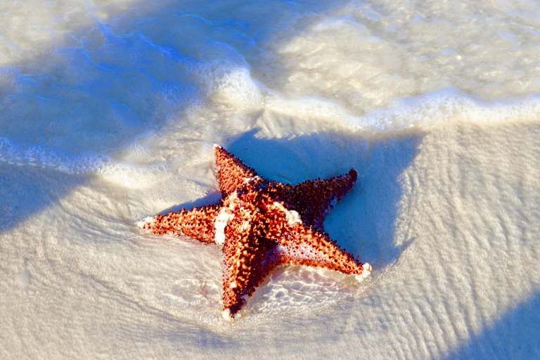 Circuit Couleur Café pas cher photo 25