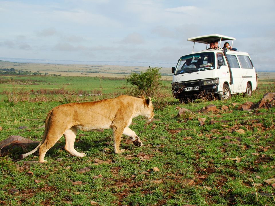 Combiné Safari Hakuna Matata et Hôtel Jacaranda Indian Ocean Beach 4* pas cher photo 9