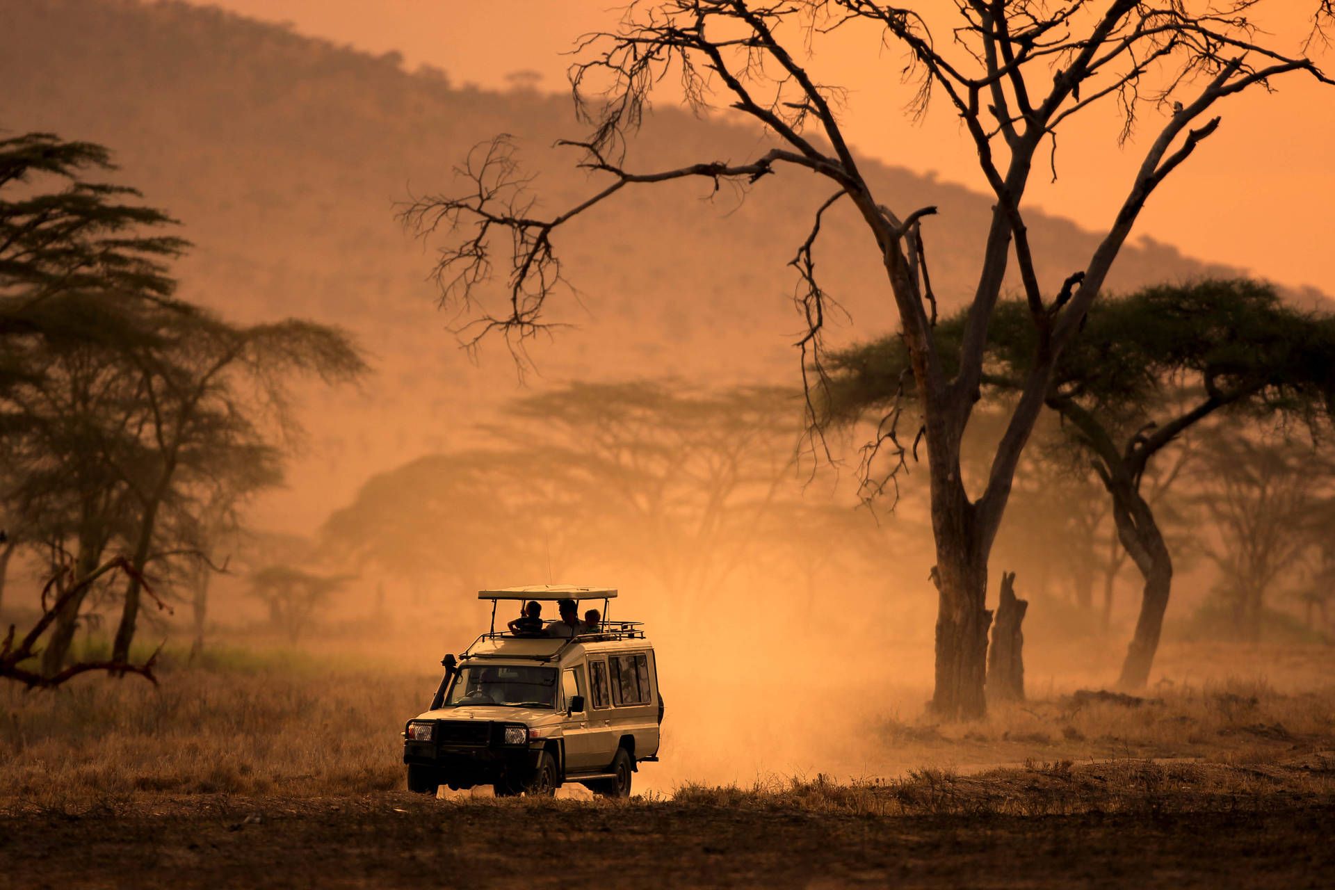 Circuit Légendes du Cap et de la savane 4* pas cher photo 20